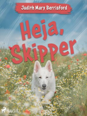 cover image of Heja, Skipper